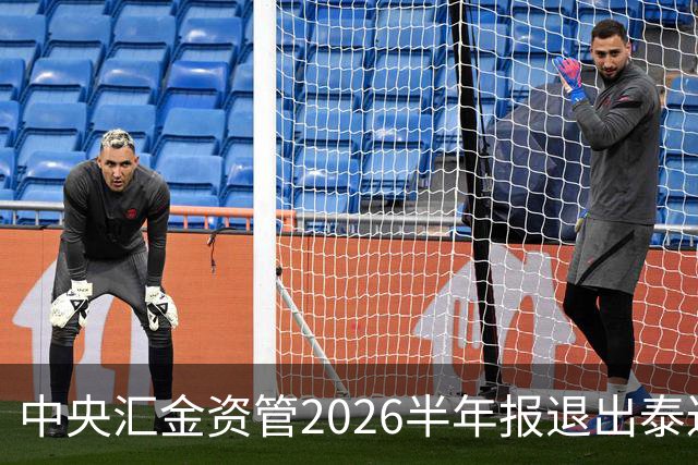 中央汇金资管2026半年报退出泰达股份前十大股东名单
