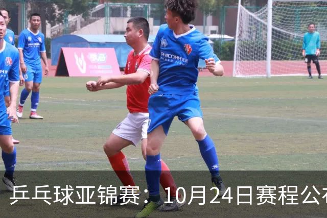 乒乓球亚锦赛：10月24日赛程公布！国乒冲击4强，1人双战张本智和