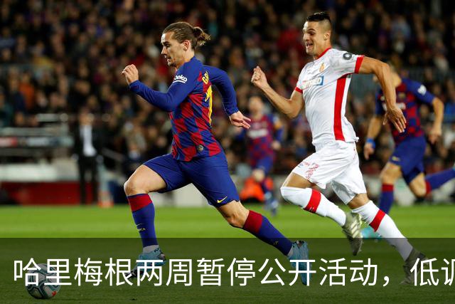 哈里梅根两周暂停公开活动，低调避风头，不抢查尔斯国王风头