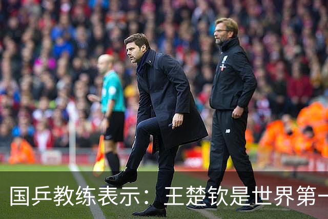 国乒教练表示：王楚钦是世界第一位强势打法的球员，樊振东则是综合能力最强的
