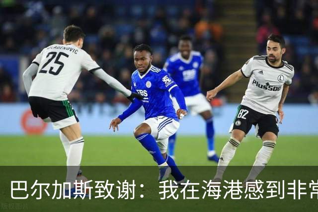 巴尔加斯致谢：我在海港感到非常快乐和幸福