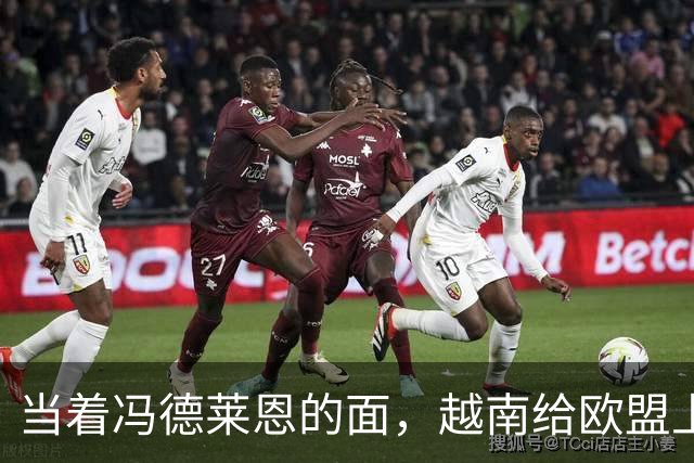 当着冯德莱恩的面，越南给欧盟上了一课：什么叫“中国力量”