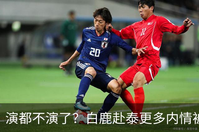 演都不演了？白鹿赴泰更多内情被扒，众星被连带，难怪不取消活动
