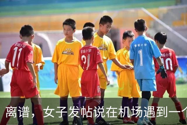 离谱，女子发帖说在机场遇到一个陌生男大帮她提了一路行李，真是随时都能找到仆人！