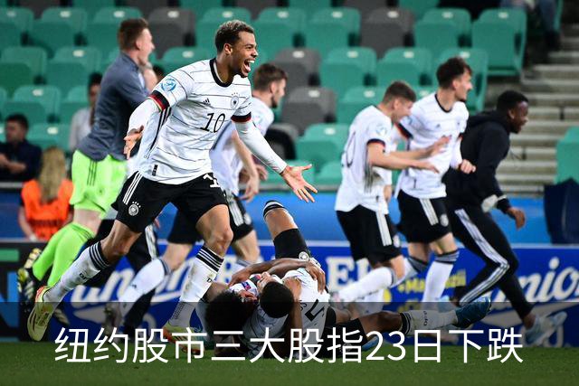 纽约股市三大股指23日下跌