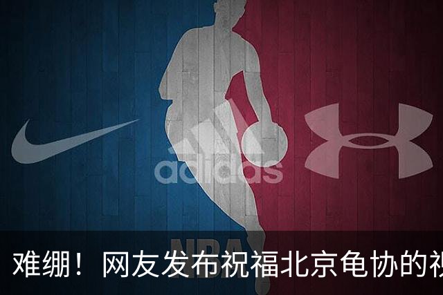 难绷！网友发布祝福北京龟协的视频，评论区涌入大批足球迷