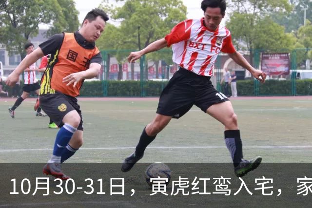10月30-31日，寅虎红鸾入宅，家中要出惊天大喜！