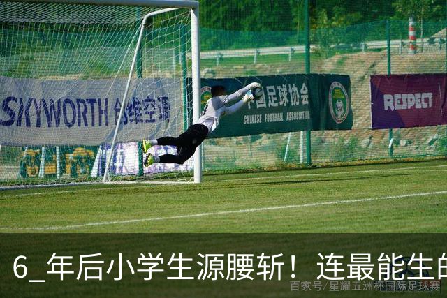 6 年后小学生源腰斩！连最能生的河南都扛不住，这 8 类生意别碰