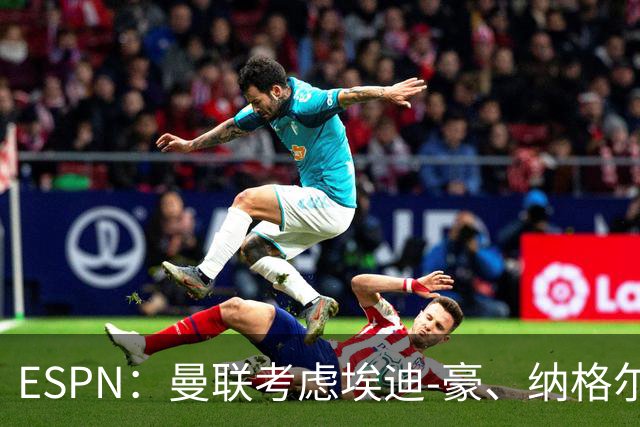 ESPN：曼联考虑埃迪-豪、纳格尔斯曼接替卡里克